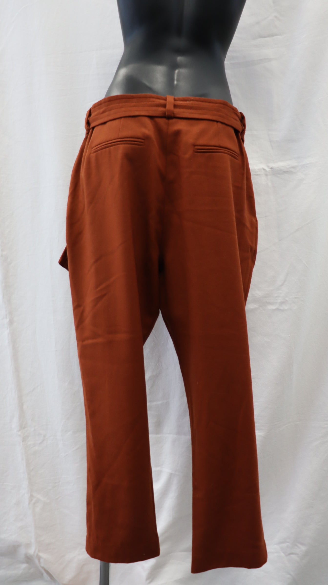 shjark Pants 12