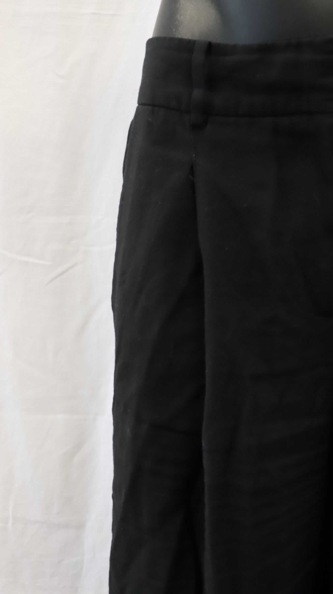 shjark Pants 12