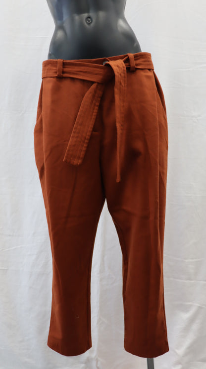shjark Pants 12