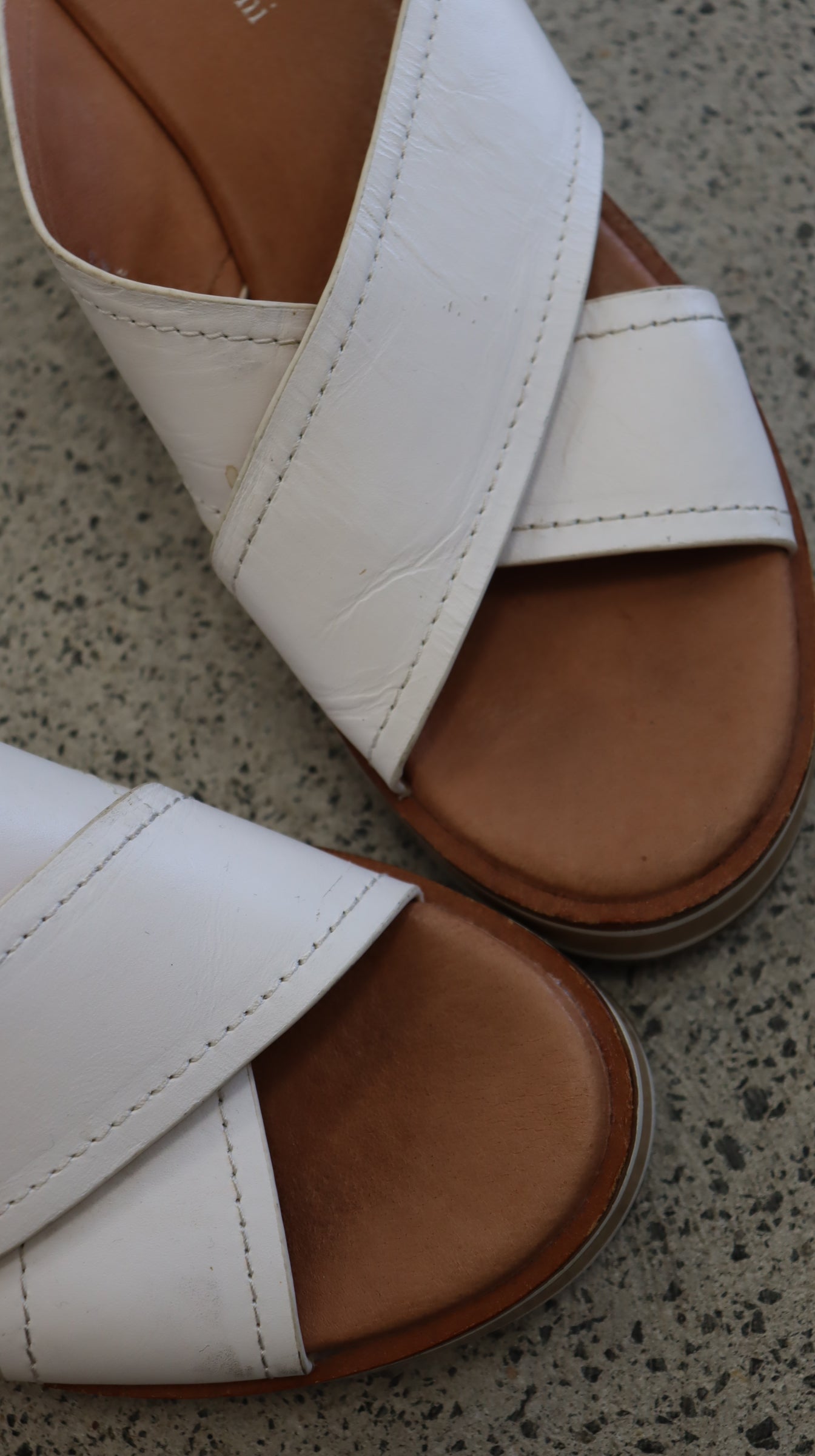 Isabella Anselmi Slides 40