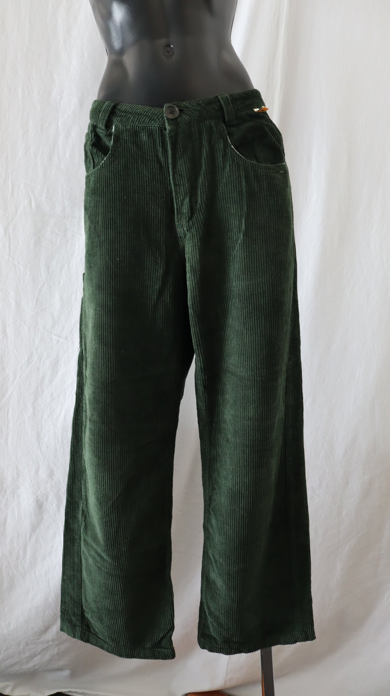 Critical slide Pants Mens 30
