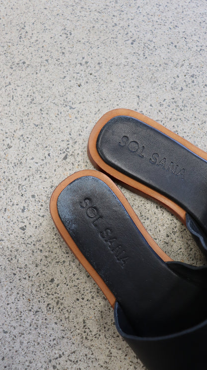 SOL SANA Slides 37
