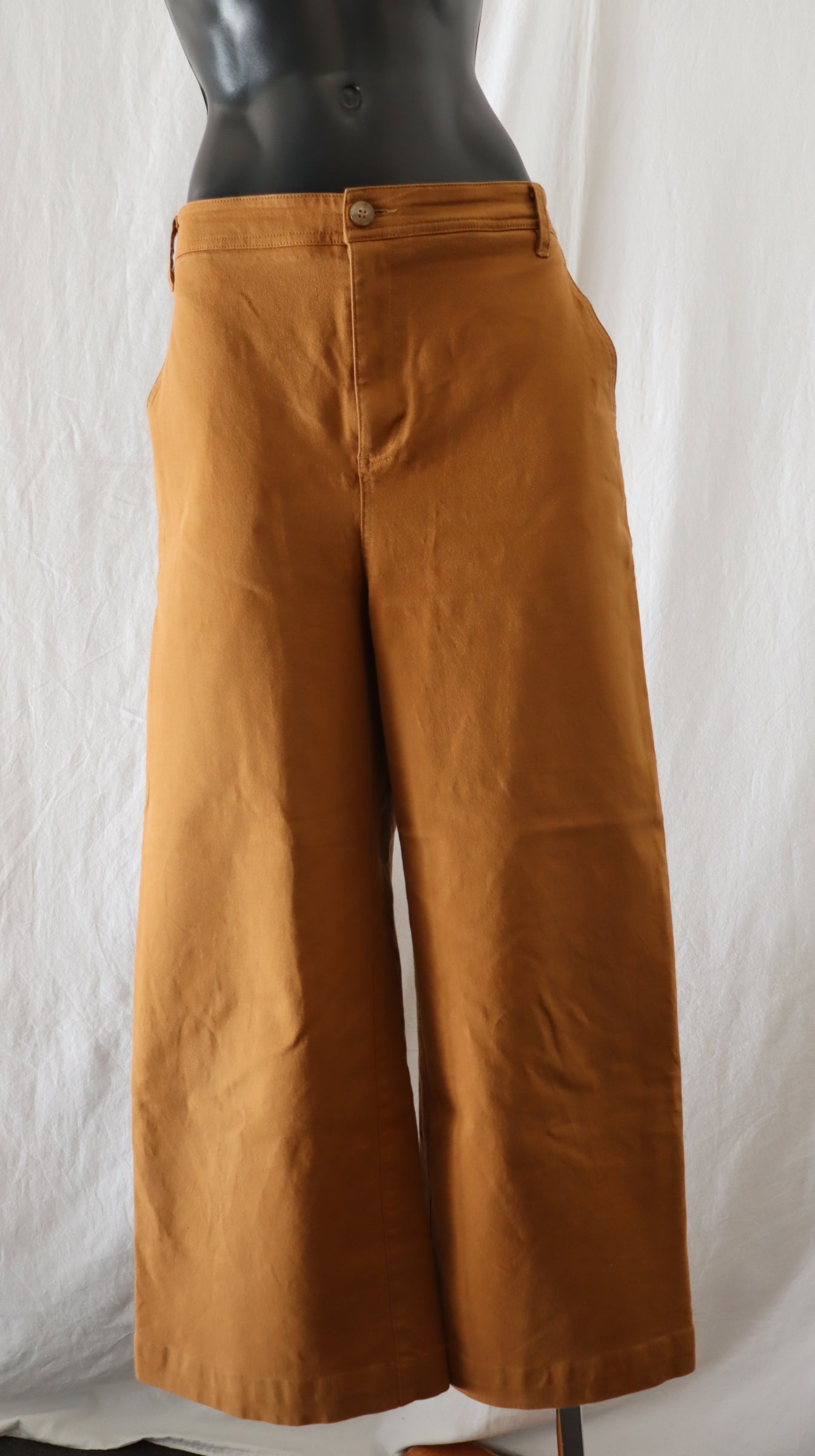 shjark Pants 14