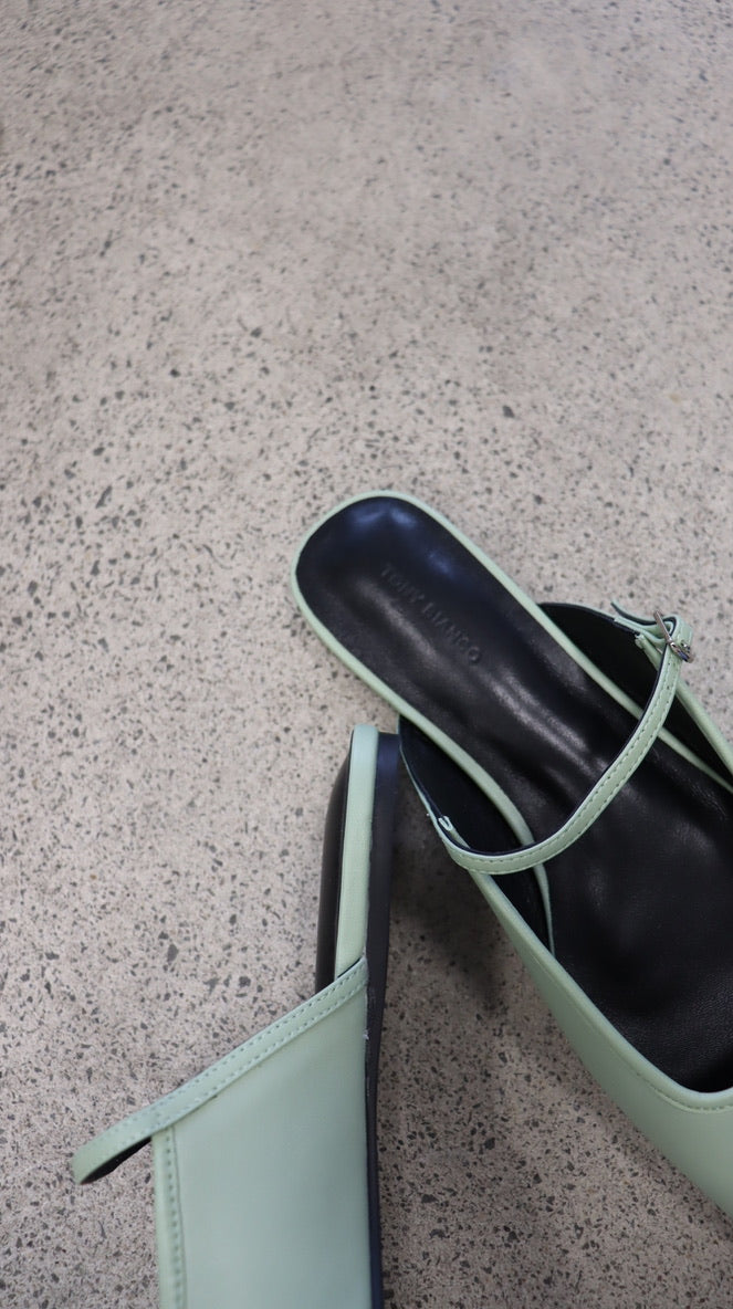 Tony Bianco Slides 8