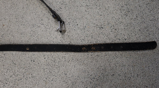 COUNTRY ROAD Belt M