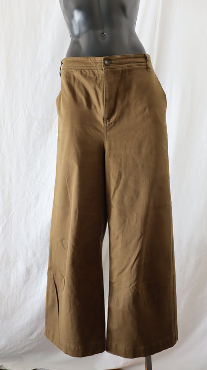 shjark Pants 14
