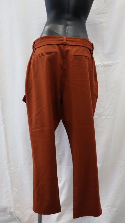 shjark Pants 12