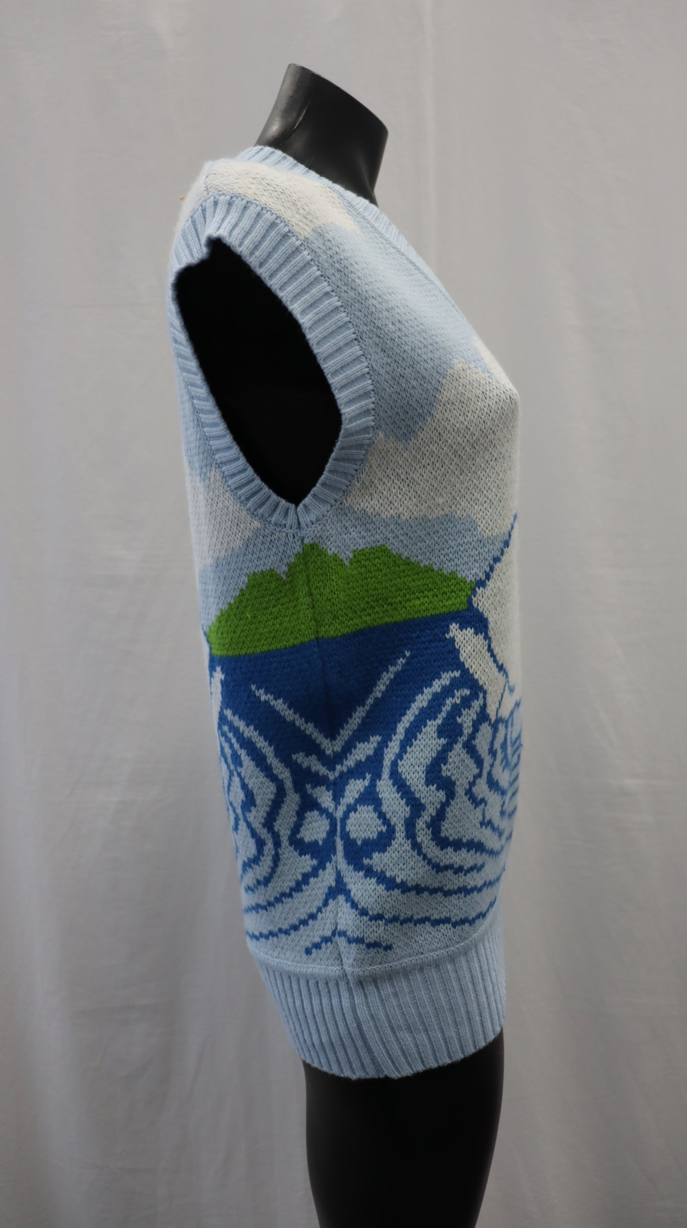 House of Sunny Vest 6