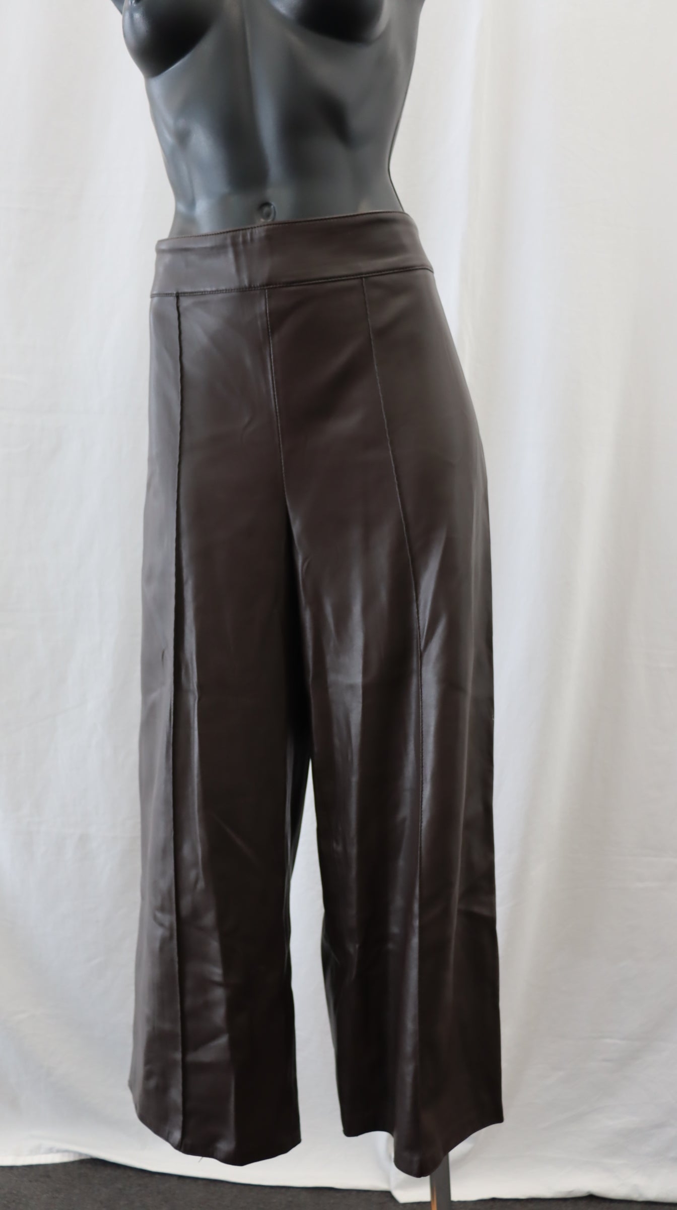 ZARA Pants L